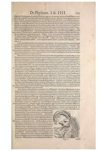Reproducción/Reproduction 15566511311: Conradi Gesneri medici Tigurini Historiae animalium liber IV :. Francofurti :In Bibliopolio Andreae Cambieri,anno MDCIIII [1604]
