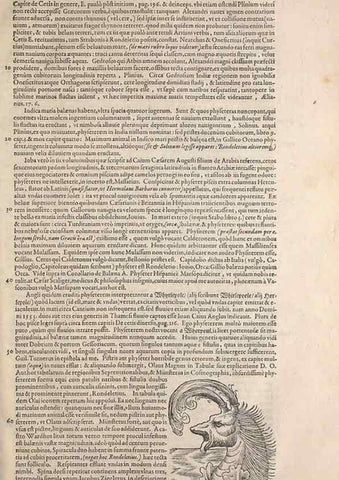 Reproducción/Reproduction 15566511311: Conradi Gesneri medici Tigurini Historiae animalium liber IV :. Francofurti :In Bibliopolio Andreae Cambieri,anno MDCIIII [1604]