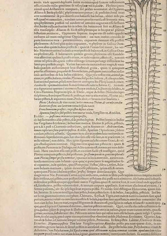 Reproducción/Reproduction 15383176267: Conradi Gesneri medici Tigurini Historiae animalium liber IV :. Francofurti :In Bibliopolio Andreae Cambieri,anno MDCIIII [1604]