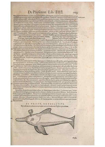 Reproducción/Reproduction 15566514891: Conradi Gesneri medici Tigurini Historiae animalium liber IV :. Francofurti :In Bibliopolio Andreae Cambieri,anno MDCIIII [1604]