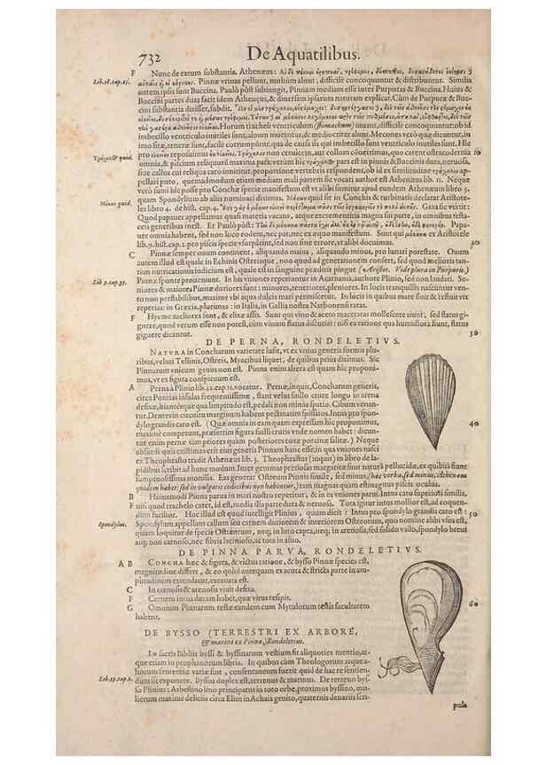 Reproducción/Reproduction 15570029852: Conradi Gesneri medici Tigurini Historiae animalium liber IV :. Francofurti :In Bibliopolio Andreae Cambieri,anno MDCIIII [1604]
