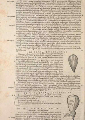 Reproducción/Reproduction 15570029852: Conradi Gesneri medici Tigurini Historiae animalium liber IV :. Francofurti :In Bibliopolio Andreae Cambieri,anno MDCIIII [1604]