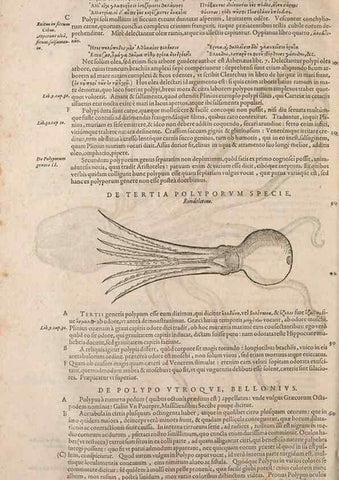 Reproducción/Reproduction 15570033712: Conradi Gesneri medici Tigurini Historiae animalium liber IV :. Francofurti :In Bibliopolio Andreae Cambieri,anno MDCIIII [1604]