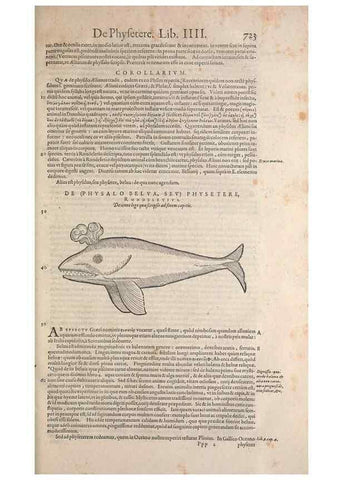 Reproducción/Reproduction 15383547430: Conradi Gesneri medici Tigurini Historiae animalium liber IV :. Francofurti :In Bibliopolio Andreae Cambieri,anno MDCIIII [1604]