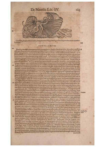 Reproducción/Reproduction 14948909113: Conradi Gesneri medici Tigurini Historiae animalium liber IV :. Francofurti :In Bibliopolio Andreae Cambieri,anno MDCIIII [1604]
