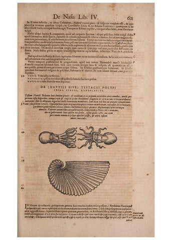 Reproducción/Reproduction 15566407581: Conradi Gesneri medici Tigurini Historiae animalium liber IV :. Francofurti :In Bibliopolio Andreae Cambieri,anno MDCIIII [1604]