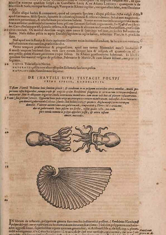 Reproducción/Reproduction 15566407581: Conradi Gesneri medici Tigurini Historiae animalium liber IV :. Francofurti :In Bibliopolio Andreae Cambieri,anno MDCIIII [1604]