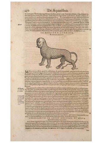 Reproducción/Reproduction 15382334949: Conradi Gesneri medici Tigurini Historiae animalium liber IV :. Francofurti :In Bibliopolio Andreae Cambieri,anno MDCIIII [1604]