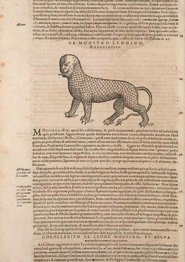 Reproducción/Reproduction 15382334949: Conradi Gesneri medici Tigurini Historiae animalium liber IV :. Francofurti :In Bibliopolio Andreae Cambieri,anno MDCIIII [1604]