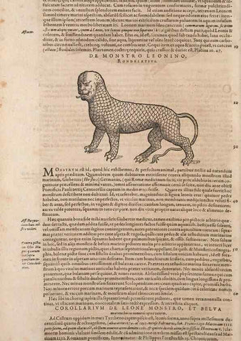 Reproducción/Reproduction 15382334949: Conradi Gesneri medici Tigurini Historiae animalium liber IV :. Francofurti :In Bibliopolio Andreae Cambieri,anno MDCIIII [1604]