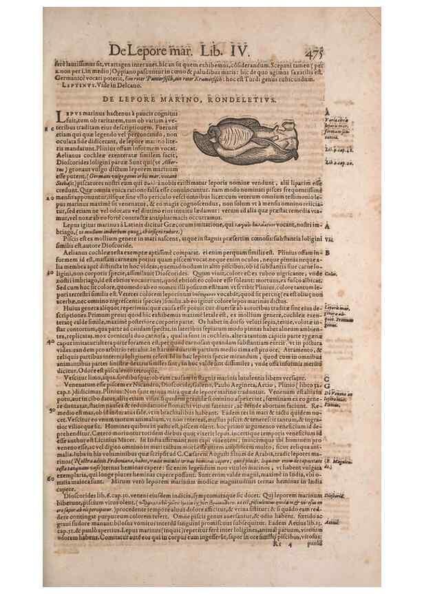 Reproducción/Reproduction 15545270676: Conradi Gesneri medici Tigurini Historiae animalium liber IV :. Francofurti :In Bibliopolio Andreae Cambieri,anno MDCIIII [1604]