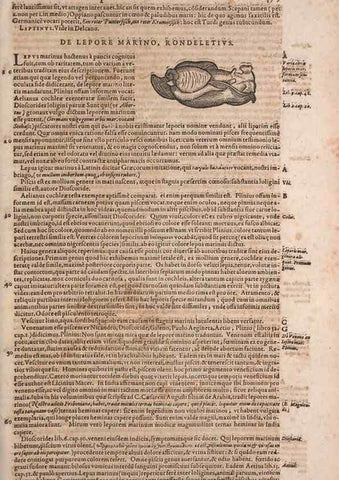 Reproducción/Reproduction 15545270676: Conradi Gesneri medici Tigurini Historiae animalium liber IV :. Francofurti :In Bibliopolio Andreae Cambieri,anno MDCIIII [1604]
