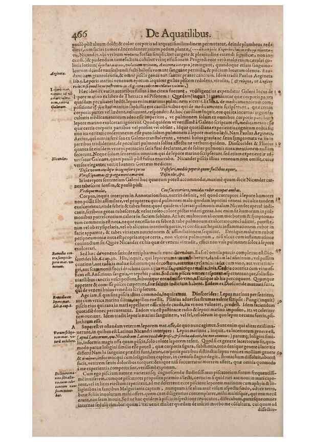 Reproducción/Reproduction 15569813222: Conradi Gesneri medici Tigurini Historiae animalium liber IV :. Francofurti :In Bibliopolio Andreae Cambieri,anno MDCIIII [1604]