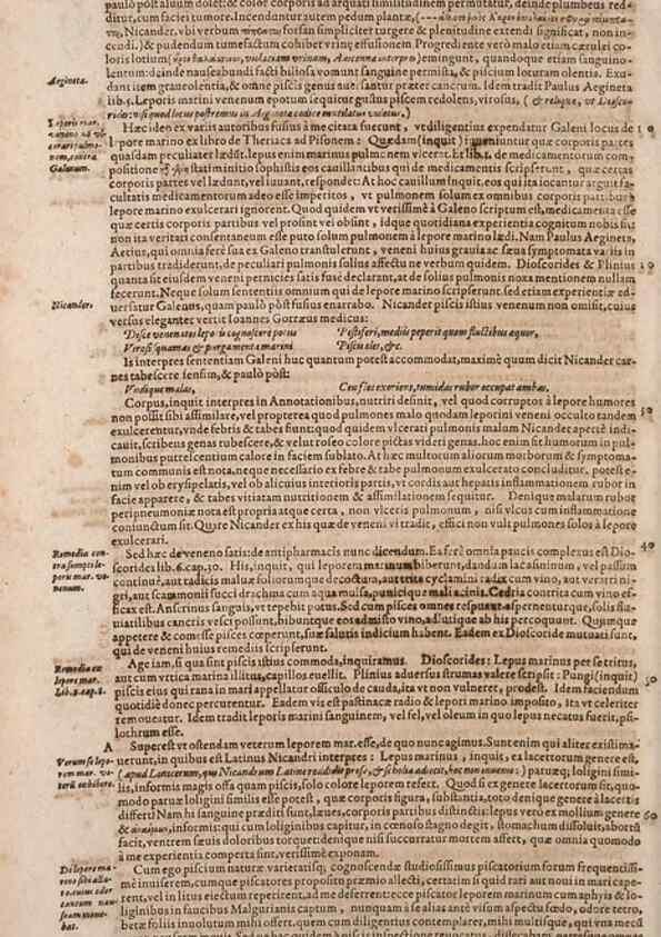 Reproducción/Reproduction 15569813222: Conradi Gesneri medici Tigurini Historiae animalium liber IV :. Francofurti :In Bibliopolio Andreae Cambieri,anno MDCIIII [1604]