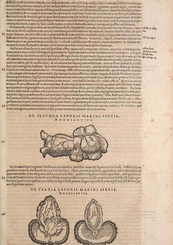 Reproducción/Reproduction 15382968557: Conradi Gesneri medici Tigurini Historiae animalium liber IV :. Francofurti :In Bibliopolio Andreae Cambieri,anno MDCIIII [1604]