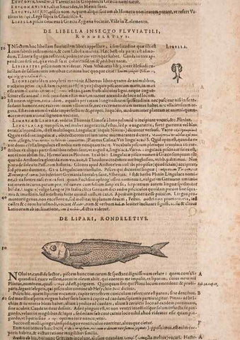 Reproducción/Reproduction 15569817572: Conradi Gesneri medici Tigurini Historiae animalium liber IV :. Francofurti :In Bibliopolio Andreae Cambieri,anno MDCIIII [1604]