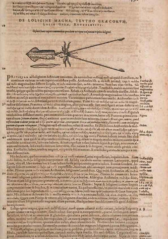 Reproducción/Reproduction 14948813553: Conradi Gesneri medici Tigurini Historiae animalium liber IV :. Francofurti :In Bibliopolio Andreae Cambieri,anno MDCIIII [1604]