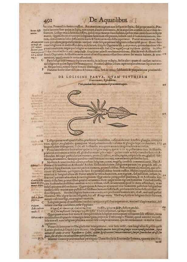 Reproducción/Reproduction 15566316821: Conradi Gesneri medici Tigurini Historiae animalium liber IV :. Francofurti :In Bibliopolio Andreae Cambieri,anno MDCIIII [1604]