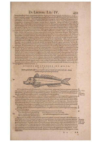Reproducción/Reproduction 15545292026: Conradi Gesneri medici Tigurini Historiae animalium liber IV :. Francofurti :In Bibliopolio Andreae Cambieri,anno MDCIIII [1604]