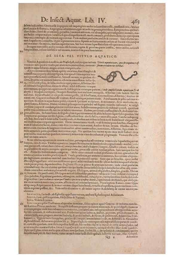 Reproducción/Reproduction 15382947977: Conradi Gesneri medici Tigurini Historiae animalium liber IV :. Francofurti :In Bibliopolio Andreae Cambieri,anno MDCIIII [1604]