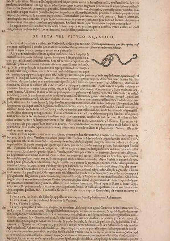 Reproducción/Reproduction 15382947977: Conradi Gesneri medici Tigurini Historiae animalium liber IV :. Francofurti :In Bibliopolio Andreae Cambieri,anno MDCIIII [1604]
