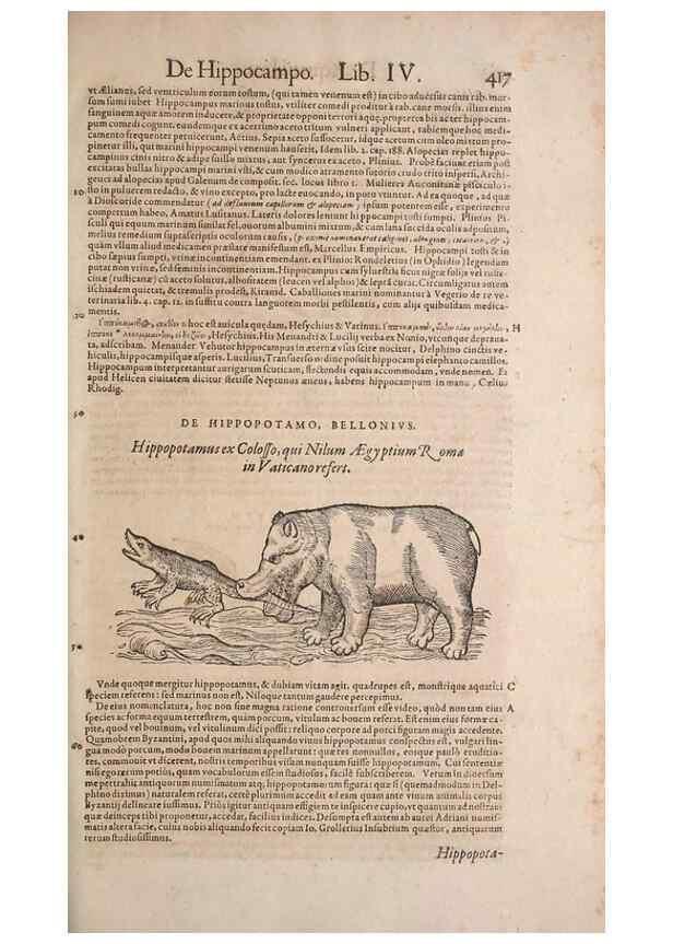 Reproducción/Reproduction 15383294480: Conradi Gesneri medici Tigurini Historiae animalium liber IV :. Francofurti :In Bibliopolio Andreae Cambieri,anno MDCIIII [1604]