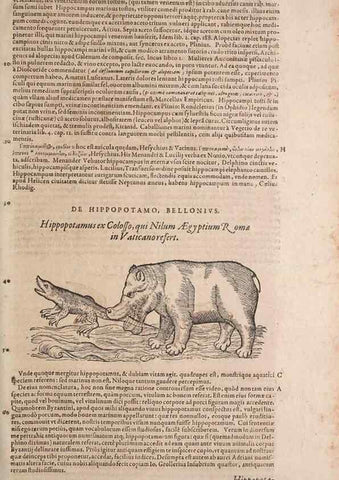Reproducción/Reproduction 15383294480: Conradi Gesneri medici Tigurini Historiae animalium liber IV :. Francofurti :In Bibliopolio Andreae Cambieri,anno MDCIIII [1604]