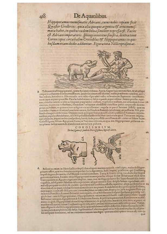 Reproducción/Reproduction 14948756023: Conradi Gesneri medici Tigurini Historiae animalium liber IV :. Francofurti :In Bibliopolio Andreae Cambieri,anno MDCIIII [1604]
