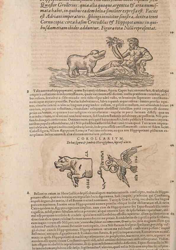Reproducción/Reproduction 14948756023: Conradi Gesneri medici Tigurini Historiae animalium liber IV :. Francofurti :In Bibliopolio Andreae Cambieri,anno MDCIIII [1604]