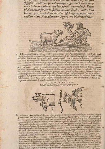 Reproducción/Reproduction 14948756023: Conradi Gesneri medici Tigurini Historiae animalium liber IV :. Francofurti :In Bibliopolio Andreae Cambieri,anno MDCIIII [1604]