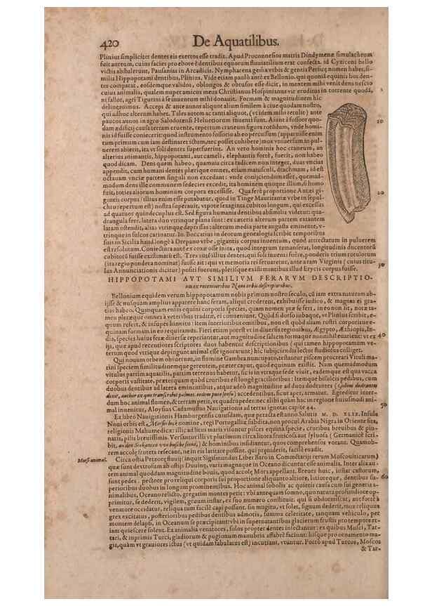 Reproducción/Reproduction 14948758143: Conradi Gesneri medici Tigurini Historiae animalium liber IV :. Francofurti :In Bibliopolio Andreae Cambieri,anno MDCIIII [1604]