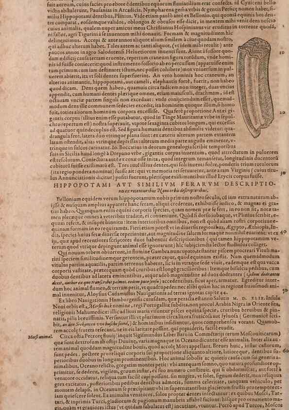 Reproducción/Reproduction 14948758143: Conradi Gesneri medici Tigurini Historiae animalium liber IV :. Francofurti :In Bibliopolio Andreae Cambieri,anno MDCIIII [1604]