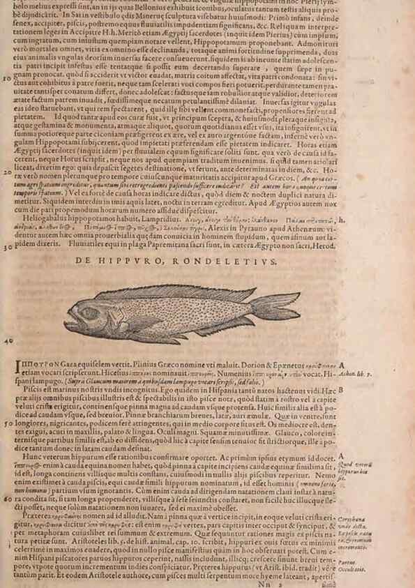 Reproducción/Reproduction 15382922867: Conradi Gesneri medici Tigurini Historiae animalium liber IV :. Francofurti :In Bibliopolio Andreae Cambieri,anno MDCIIII [1604]