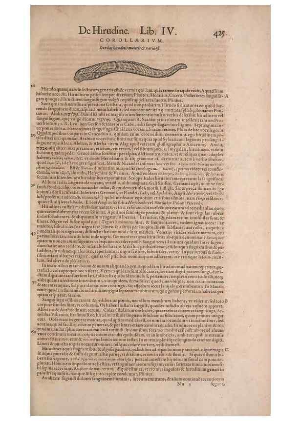 Reproducción/Reproduction 15568937045: Conradi Gesneri medici Tigurini Historiae animalium liber IV :. Francofurti :In Bibliopolio Andreae Cambieri,anno MDCIIII [1604]