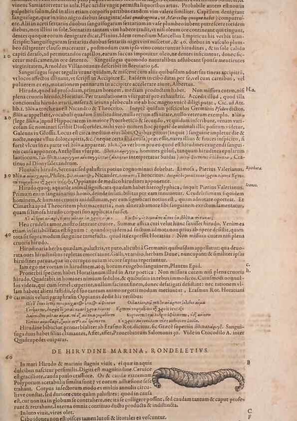 Reproducción/Reproduction 15383304620: Conradi Gesneri medici Tigurini Historiae animalium liber IV :. Francofurti :In Bibliopolio Andreae Cambieri,anno MDCIIII [1604]