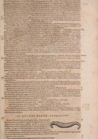 Reproducción/Reproduction 15383304620: Conradi Gesneri medici Tigurini Historiae animalium liber IV :. Francofurti :In Bibliopolio Andreae Cambieri,anno MDCIIII [1604]