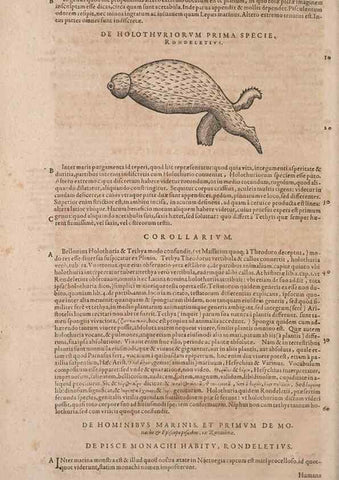 Reproducción/Reproduction 14948191244: Conradi Gesneri medici Tigurini Historiae animalium liber IV :. Francofurti :In Bibliopolio Andreae Cambieri,anno MDCIIII [1604]