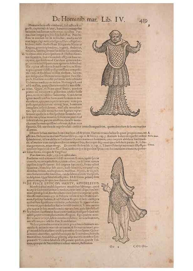 Reproducción/Reproduction 15383314130: Conradi Gesneri medici Tigurini Historiae animalium liber IV :. Francofurti :In Bibliopolio Andreae Cambieri,anno MDCIIII [1604]