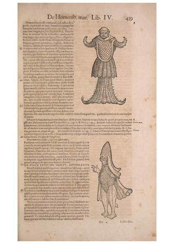 Reproducción/Reproduction 15383314130: Conradi Gesneri medici Tigurini Historiae animalium liber IV :. Francofurti :In Bibliopolio Andreae Cambieri,anno MDCIIII [1604]