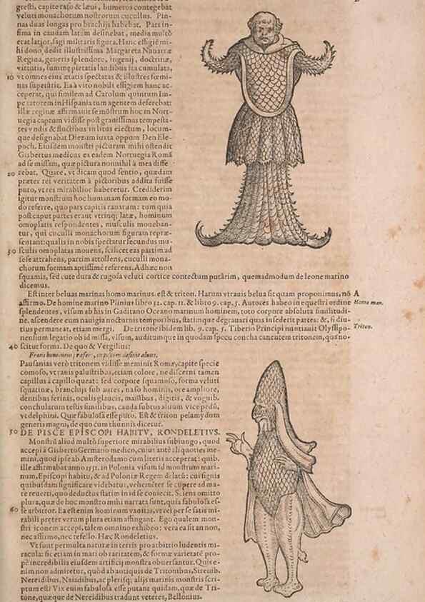 Reproducción/Reproduction 15383314130: Conradi Gesneri medici Tigurini Historiae animalium liber IV :. Francofurti :In Bibliopolio Andreae Cambieri,anno MDCIIII [1604]