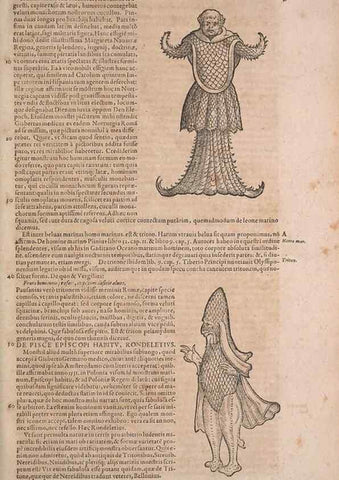 Reproducción/Reproduction 15383314130: Conradi Gesneri medici Tigurini Historiae animalium liber IV :. Francofurti :In Bibliopolio Andreae Cambieri,anno MDCIIII [1604]