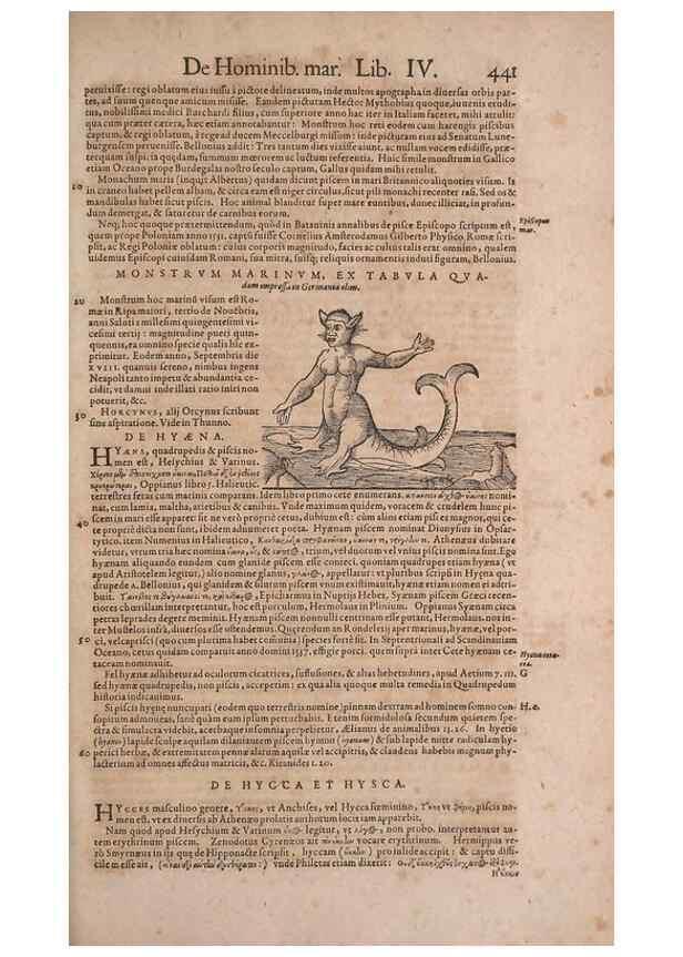 Reproducción/Reproduction 14948195334: Conradi Gesneri medici Tigurini Historiae animalium liber IV :. Francofurti :In Bibliopolio Andreae Cambieri,anno MDCIIII [1604]