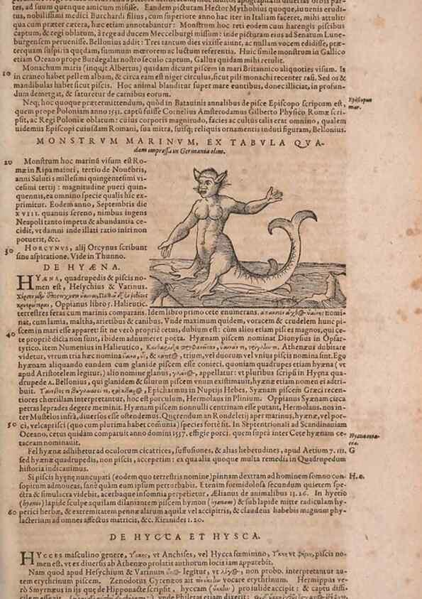 Reproducción/Reproduction 14948195334: Conradi Gesneri medici Tigurini Historiae animalium liber IV :. Francofurti :In Bibliopolio Andreae Cambieri,anno MDCIIII [1604]