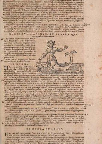 Reproducción/Reproduction 14948195334: Conradi Gesneri medici Tigurini Historiae animalium liber IV :. Francofurti :In Bibliopolio Andreae Cambieri,anno MDCIIII [1604]