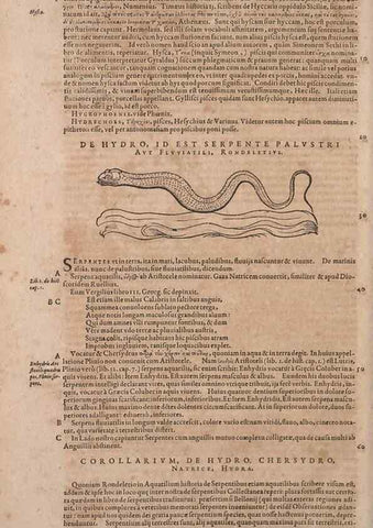 Reproducción/Reproduction 14948777373: Conradi Gesneri medici Tigurini Historiae animalium liber IV :. Francofurti :In Bibliopolio Andreae Cambieri,anno MDCIIII [1604]