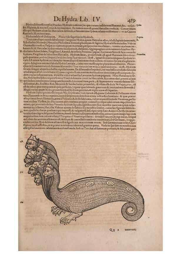 Reproducción/Reproduction 15545250256: Conradi Gesneri medici Tigurini Historiae animalium liber IV :. Francofurti :In Bibliopolio Andreae Cambieri,anno MDCIIII [1604]
