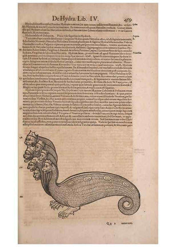 Reproducción/Reproduction 15545250256: Conradi Gesneri medici Tigurini Historiae animalium liber IV :. Francofurti :In Bibliopolio Andreae Cambieri,anno MDCIIII [1604]