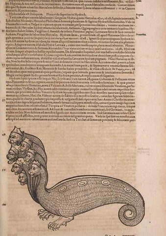 Reproducción/Reproduction 15545250256: Conradi Gesneri medici Tigurini Historiae animalium liber IV :. Francofurti :In Bibliopolio Andreae Cambieri,anno MDCIIII [1604]