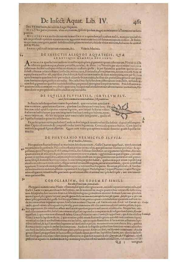 Reproducción/Reproduction 15382323509: Conradi Gesneri medici Tigurini Historiae animalium liber IV :. Francofurti :In Bibliopolio Andreae Cambieri,anno MDCIIII [1604]