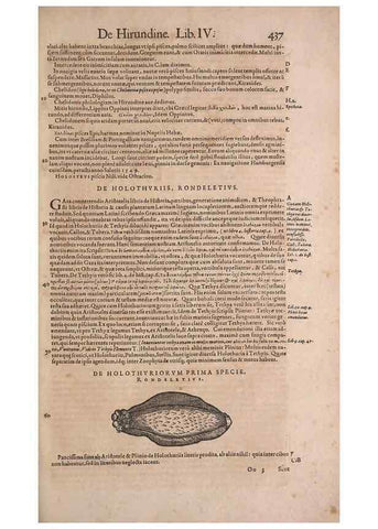 Reproducción/Reproduction 14948189504: Conradi Gesneri medici Tigurini Historiae animalium liber IV :. Francofurti :In Bibliopolio Andreae Cambieri,anno MDCIIII [1604]